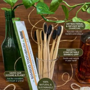 A sleek Nature’s Polish bamboo toothbrush with dark bristles, leaning against a white ceramic vase. Sunlight filters through a nearby window, casting soft shadows and highlighting the natural grain of the bamboo handle.